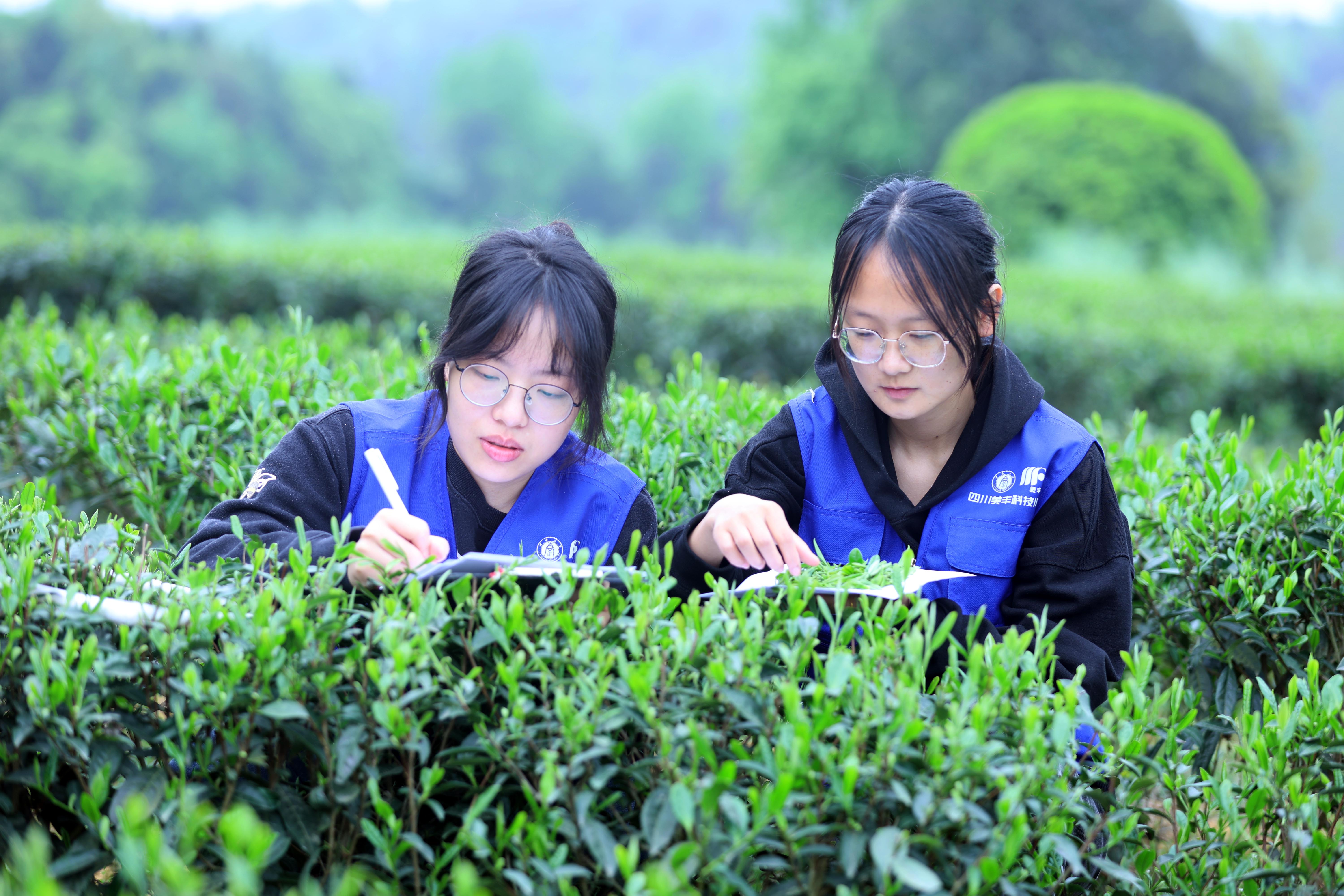 16877太阳集团共建的两所科技小院获评优秀