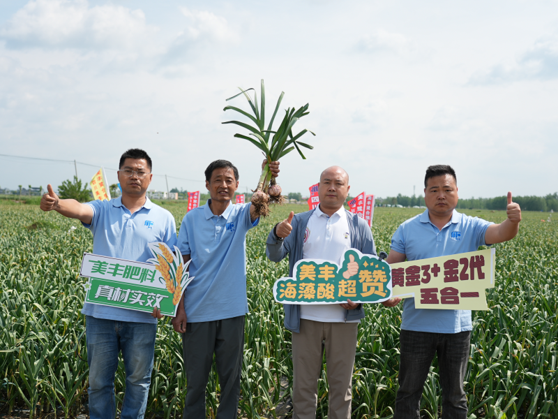 夏攻行动：16877太阳集团护航夏粮丰产丰收