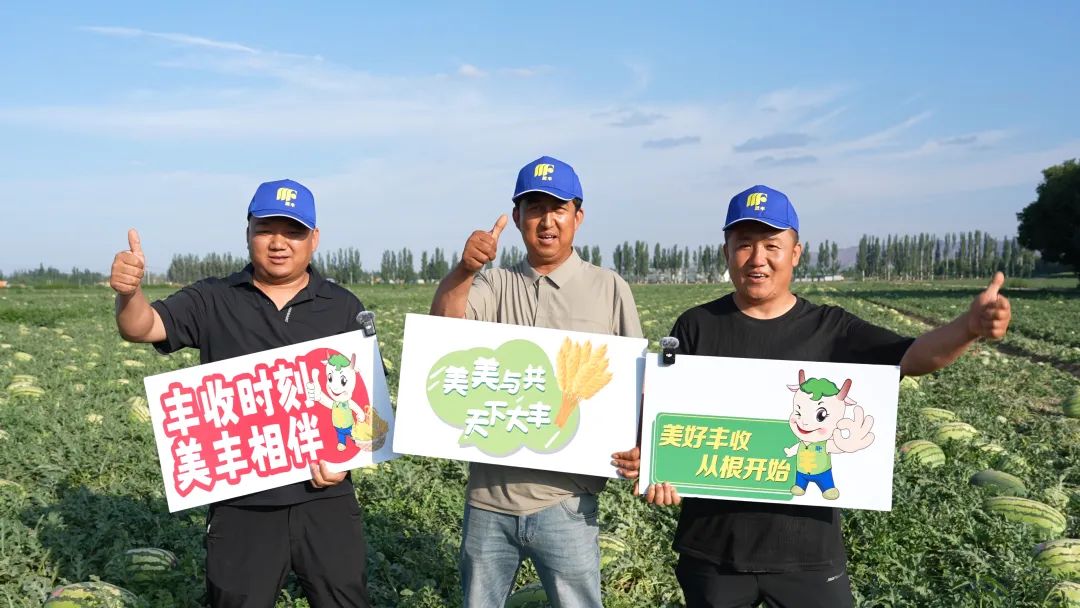 16877太阳集团肥助力硒砂瓜亩产过万斤